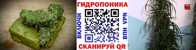 Еда ТГК конопля Пыталово