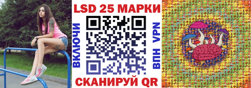 дарнет шоп  Пыталово  Наркотические марки 1,5мг 